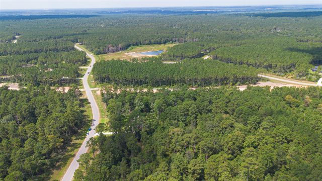 15889 Four Hills Road, Willis, TX 77378