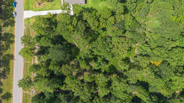 15889 Four Hills Road, Willis, TX 77378