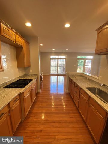 12466 BLISSFUL VALLEY DR, Fairfax, VA 22033