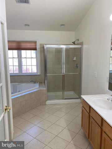 12466 BLISSFUL VALLEY DR, Fairfax, VA 22033