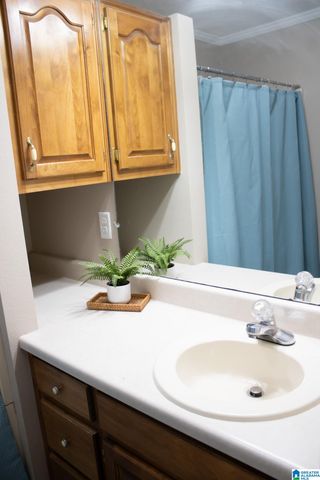 336 COUNTY ROAD 5, Jemison, AL 35085