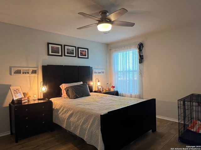 6436 Legato Curve, San Antonio, TX 78252