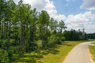 10784 Ruger Road Road, Willis, TX 77378