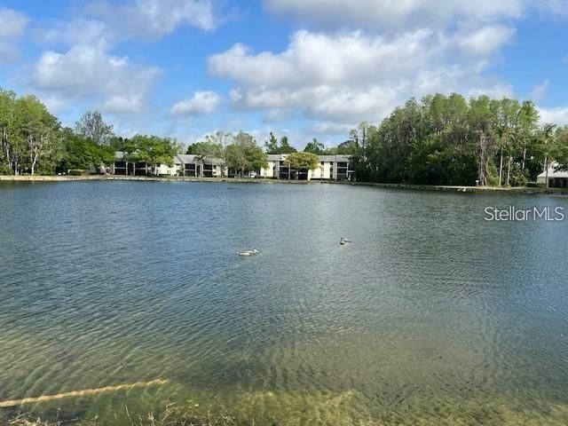 3232 LAKE PINE WAY E C1, Tarpon Springs, FL 34688