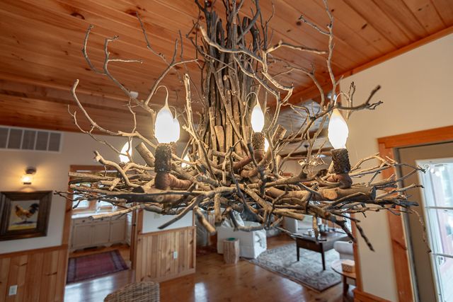 264 Crooked Lane, Blue Eye, MO 65611