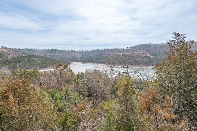 264 Crooked Lane, Blue Eye, MO 65611