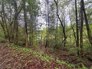153 Bear Den Trl, Grandview, TN 37337