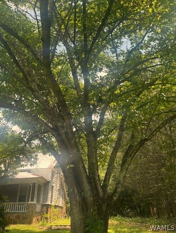 17737 Hwy 43 N, Northport, AL 35475