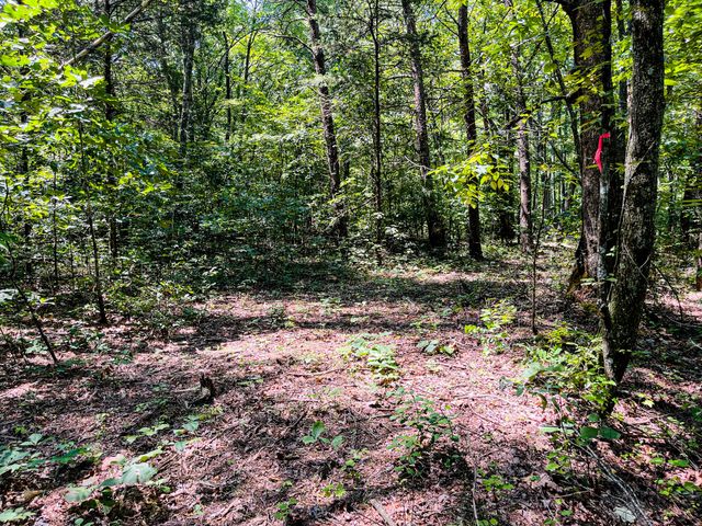 84 Sunset Bluff Way, Monteagle, TN 37356