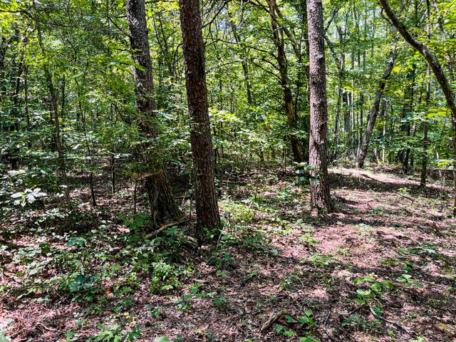 84 Sunset Bluff Way, Monteagle, TN 37356