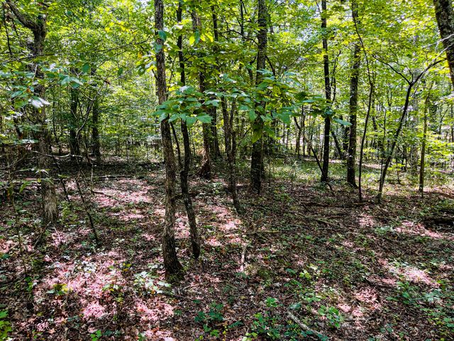 84 Sunset Bluff Way, Monteagle, TN 37356