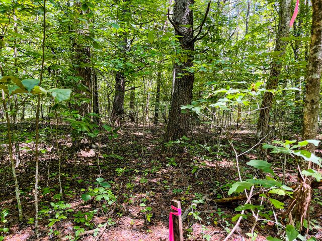 84 Sunset Bluff Way, Monteagle, TN 37356