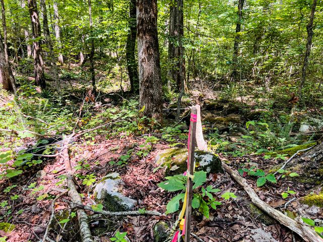 84 Sunset Bluff Way, Monteagle, TN 37356