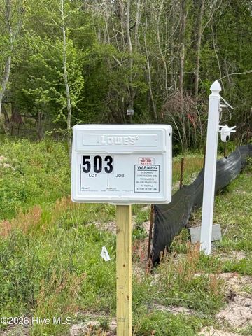 503 Romney Drive, Beulaville, NC 28518