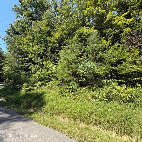 677 Lake Shore Dr, Mammoth Cave, KY 42259