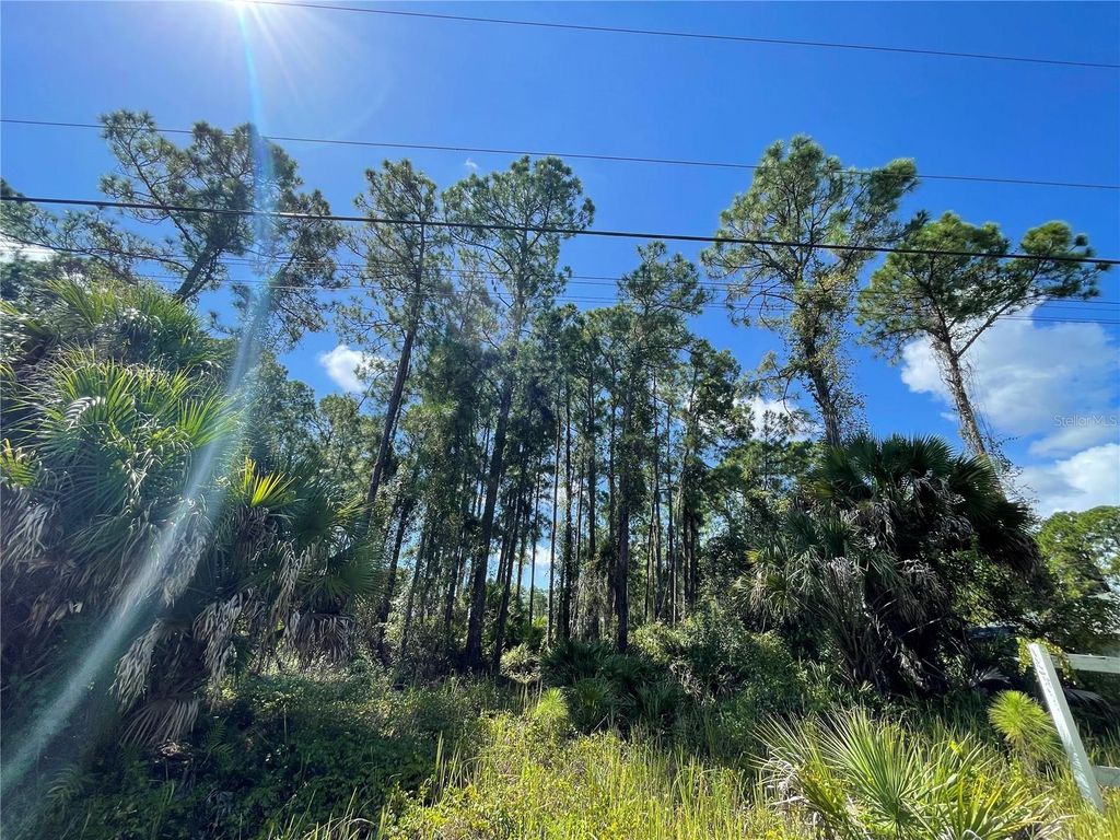 NOPPENBERG AVENUE LOT 30, North Port, FL 34288