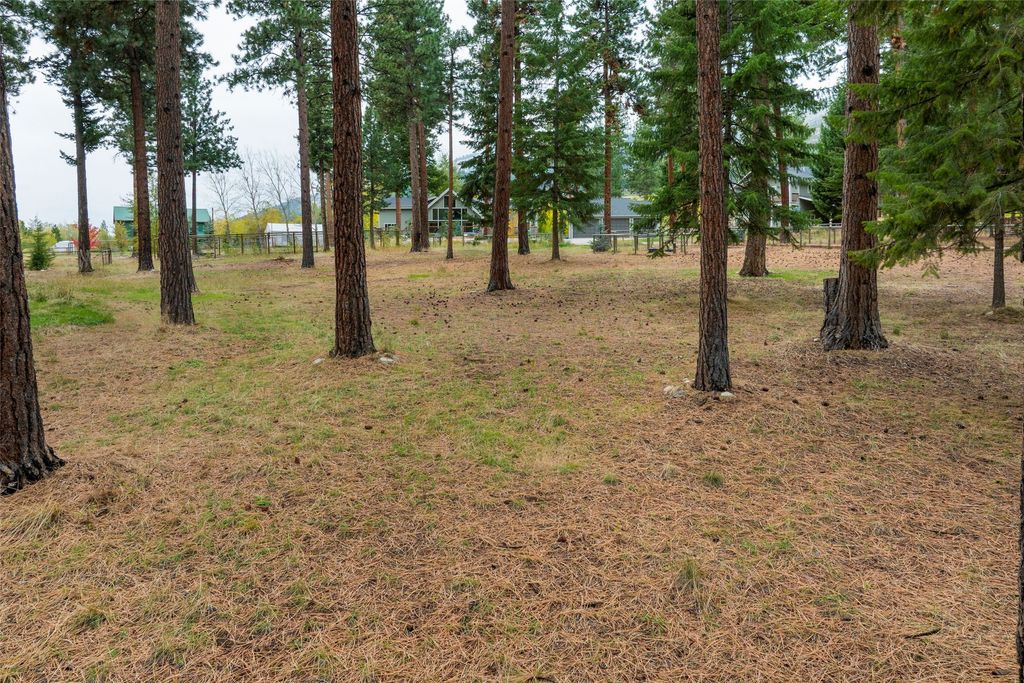 895 W Cow Creek Road, Hamilton, MT 59840 photo 56