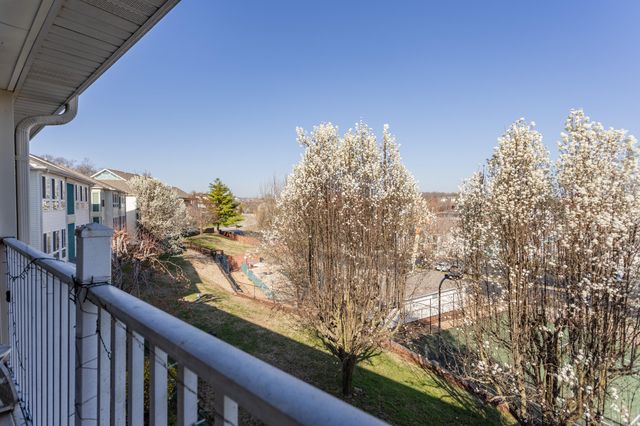530 Spring Creek Road Apt 11, Branson, MO 65616