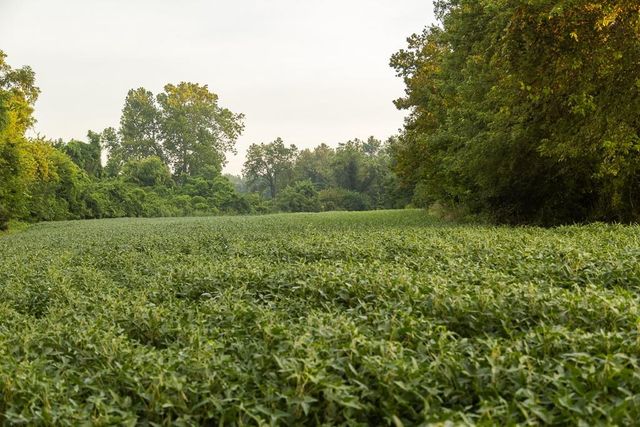 W 73rd Street, Orrick, MO 64077