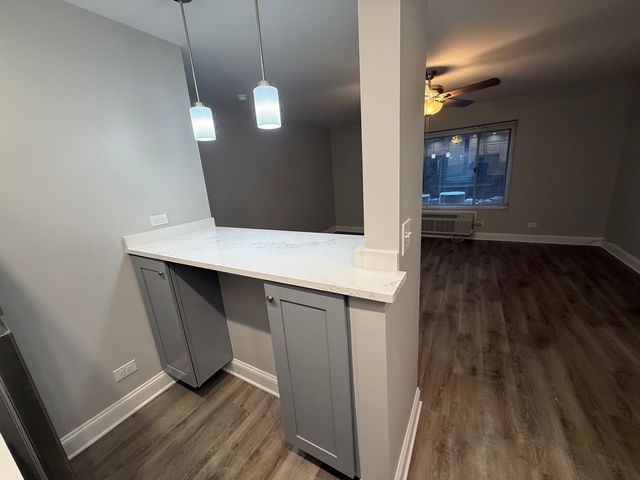 744 W GORDON Terrace 104, Chicago, IL 60613