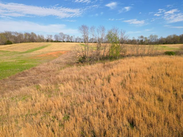 7 Minnis, Springfield, TN 37172