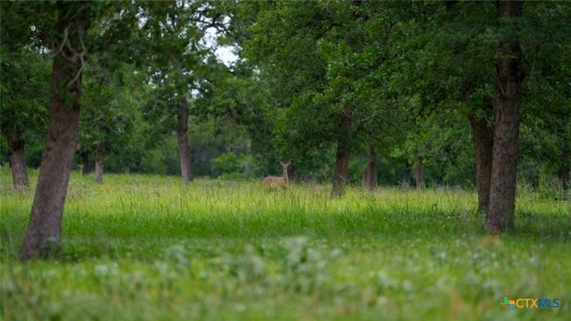 190 Turnaround Road, Seguin, TX 78155