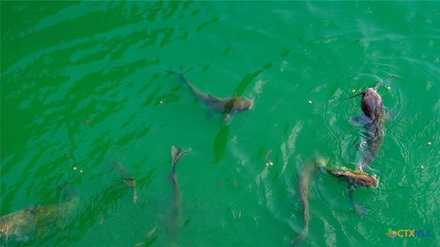 190 Turnaround Road, Seguin, TX 78155