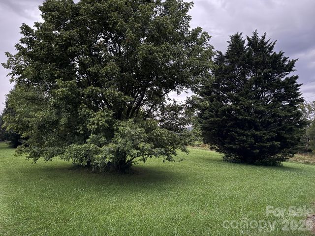 99999 Rocking Chair Lane, Leicester, NC 28748