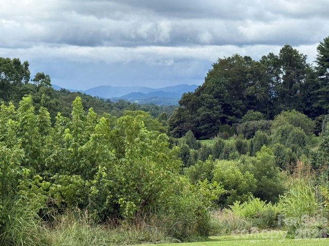 99999 Rocking Chair Lane, Leicester, NC 28748