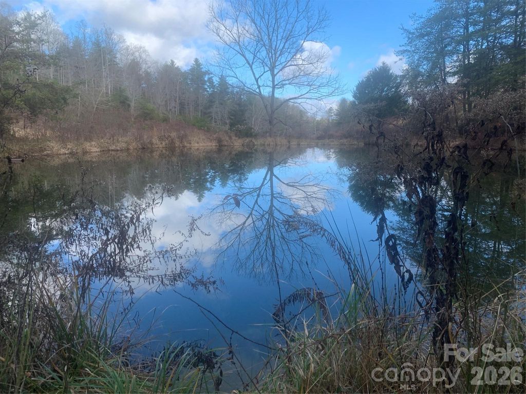 99999 Rocking Chair Lane, Leicester, NC 28748