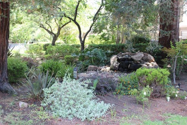 228 Flynn Avenue, Mountain View, CA 94043