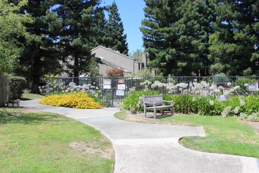 Image 32 of property listing at 228 Flynn Avenue, Mountain View, CA 94043