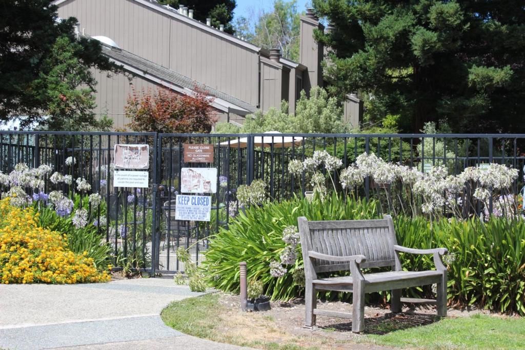 Image 33 of property listing at 228 Flynn Avenue, Mountain View, CA 94043