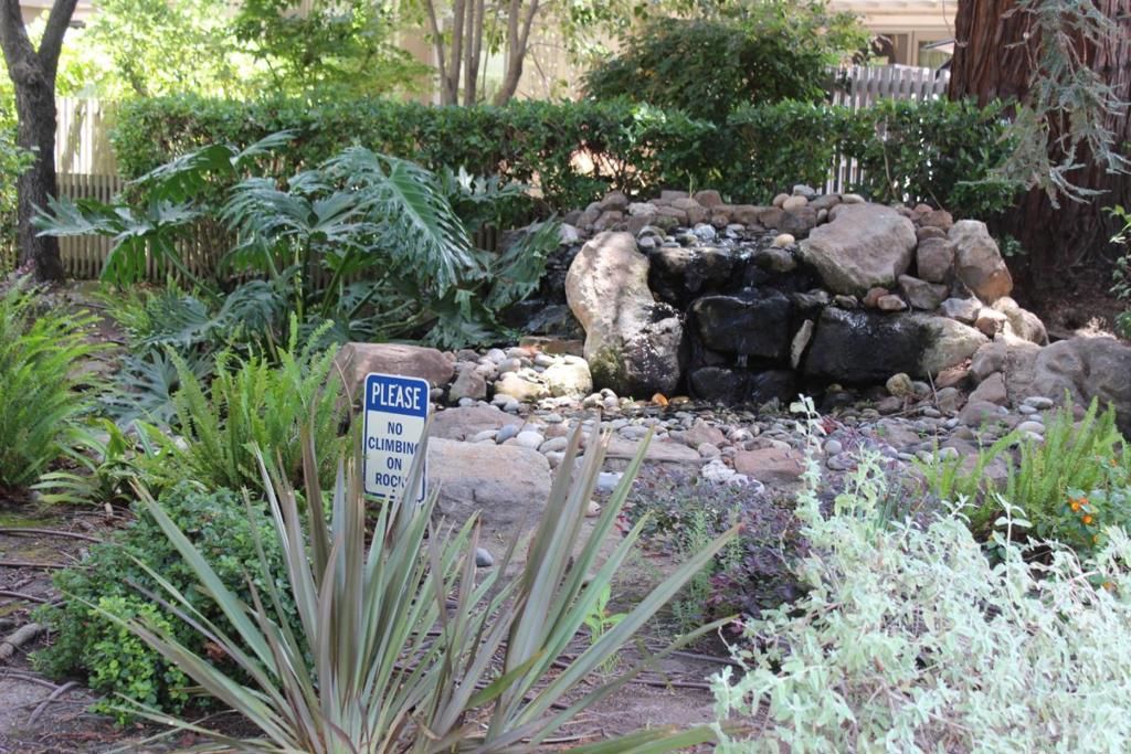 Image 40 of property listing at 228 Flynn Avenue, Mountain View, CA 94043