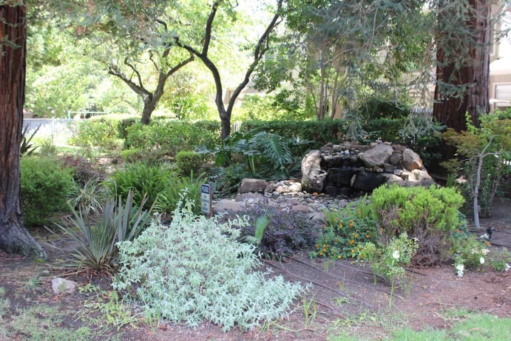 Image 41 of property listing at 228 Flynn Avenue, Mountain View, CA 94043
