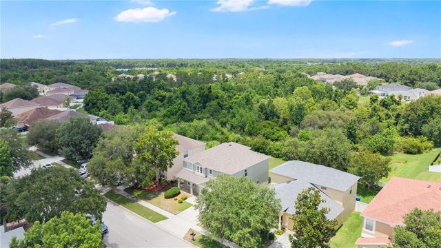 9221 LOST MILL DRIVE, Land O Lakes, FL 34638