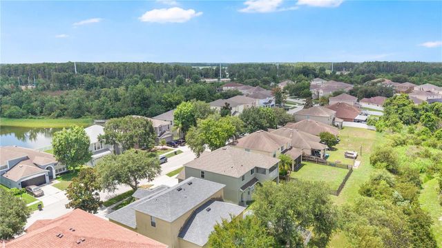 9221 LOST MILL DRIVE, Land O Lakes, FL 34638