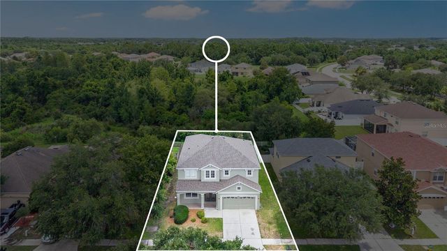 9221 LOST MILL DRIVE, Land O Lakes, FL 34638