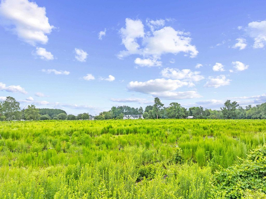 TBD Lot 4 St Joseph Dr, Green Sea, SC 29545 — photo 3