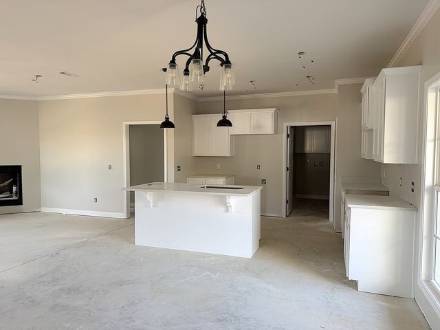 548 N John Street, New Brockton, AL 36351