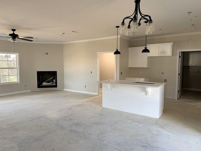 548 N John Street, New Brockton, AL 36351