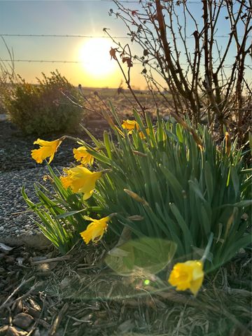 3097 69th Street, Atkins, IA 52206