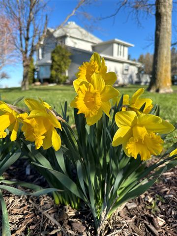 3097 69th Street, Atkins, IA 52206