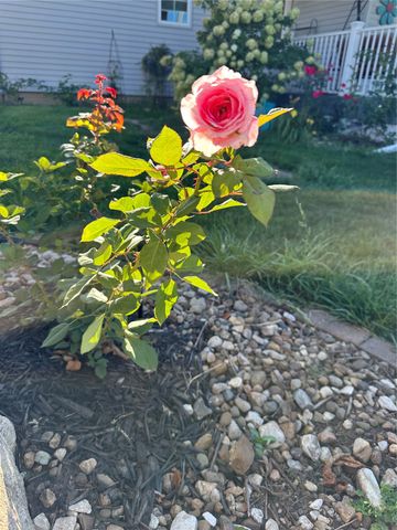 3097 69th Street, Atkins, IA 52206