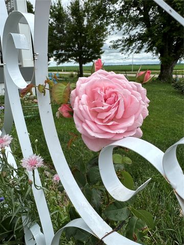 3097 69th Street, Atkins, IA 52206