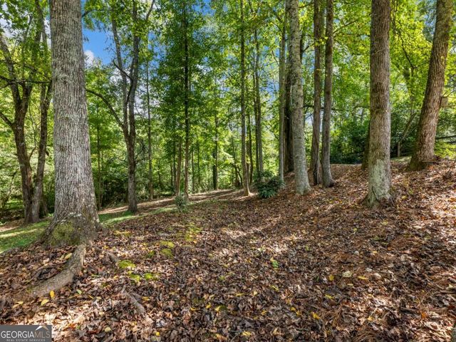 141 Willows Court, Cleveland, GA 30528