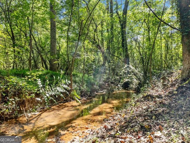 141 Willows Court, Cleveland, GA 30528