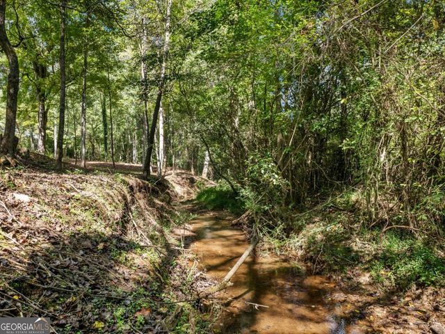 141 Willows Court, Cleveland, GA 30528