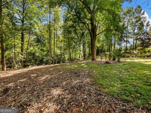 141 Willows Court, Cleveland, GA 30528