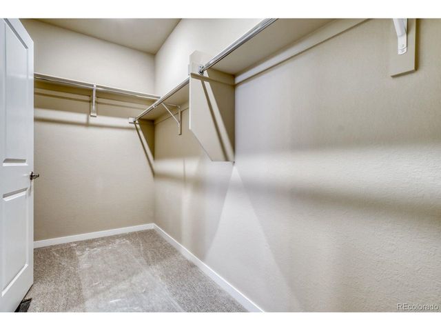 13806 Honey Hush Trl, Parker, CO 80134